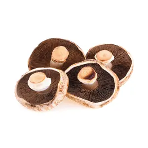 ZIELENIAK Pieczarki Portobello 4 szt.