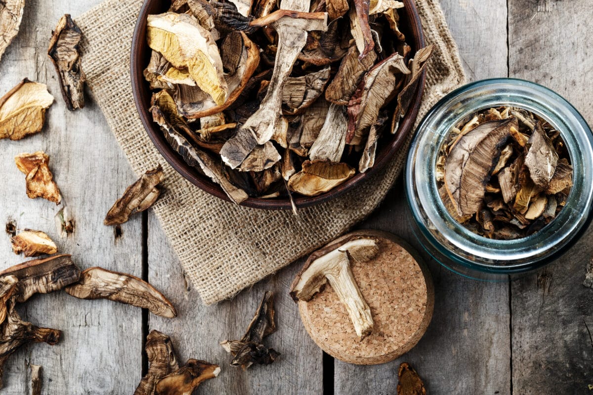 Suszone grzyby - przepisy, wskazówki i zastosowania